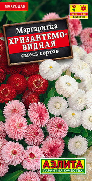 Kirikakar "Krüsanteemikujuline" (mix)